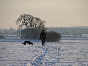 English: One man and his dog Taking advantage ...